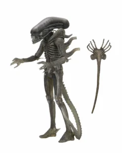 NECA - Aliens - 40TH Anniversary Wave 4 Set Of 3 - 7" Action Figures -Deals ZLCCollectibles Store 517092