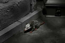 NECA - Universal Monsters Dracula - Accessory Pack -Deals ZLCCollectibles Store Drac4 scaled 1