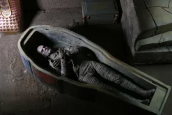 NECA - Universal Monsters - Ultimate Mummy 7" Action Figure -Deals ZLCCollectibles Store Mummy9 scaled 1